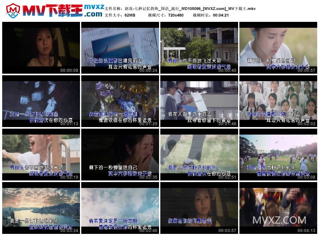 赵真-七秒记忆的鱼_国语_流行_MD105096